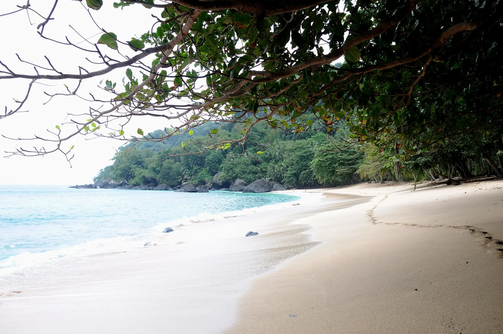 Praia rodeada de floresta tropical no Príncipe