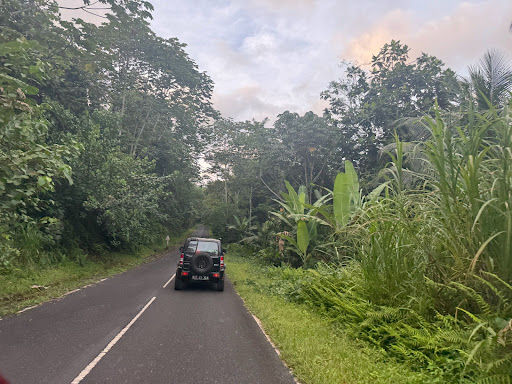 Photo from customer review